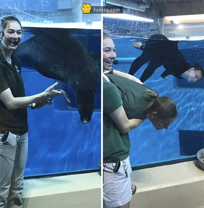 16張證明「動物管理員會變得越來越像動物」的超爆笑照片!