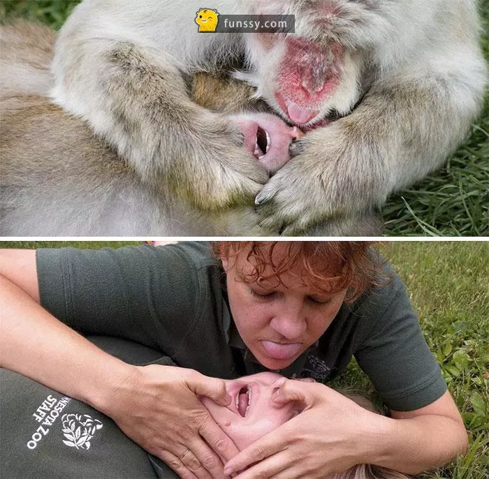 16張證明「動物管理員會變得越來越像動物」的超爆笑照片!