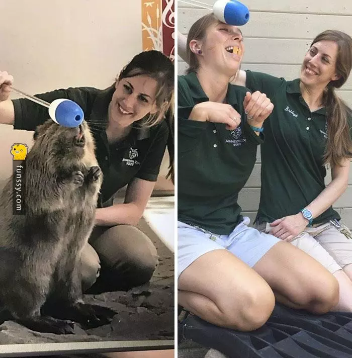 16張證明「動物管理員會變得越來越像動物」的超爆笑照片!