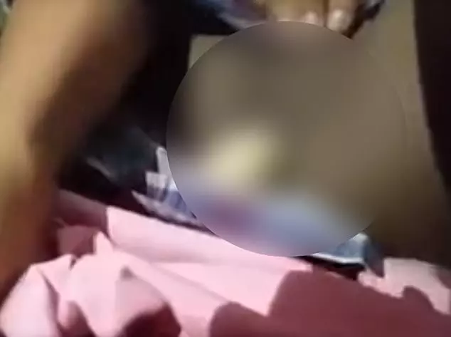 男孩變母鷄!還在三年之內排出了將近一打鷄蛋!