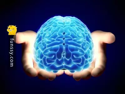 為什麼我們需要睡覺? 「5個科學家至今也無法解釋的人體奧秘!」