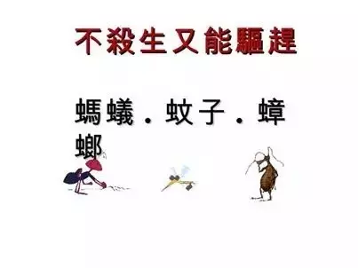 超神!自從我用過這招一周後,蟑螂螞蟻蚊子已不住我家!能100%見效又不殺生!快學!
