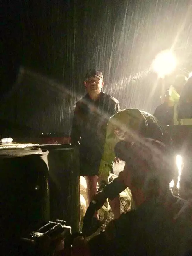 只愛美女!浪浪被被空姐撿到「變辦公室吉祥物」 看到葛格秒變臉:誰要你抱