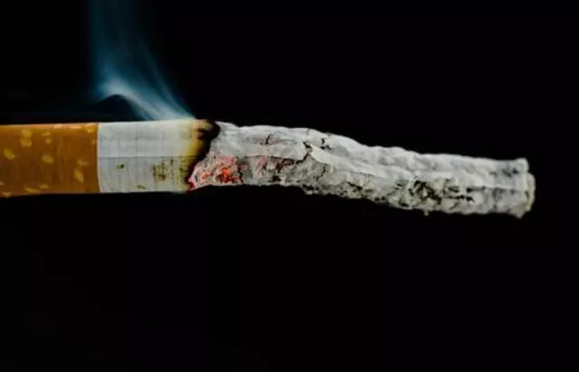 吸菸者進入秋季,需吃「三物」,喝「四茶」,給你的肺部清理一下