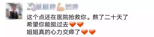 我朋友家的狗，還是因為吃錯東西腎衰竭死了……