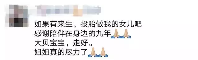 我朋友家的狗，還是因為吃錯東西腎衰竭死了……