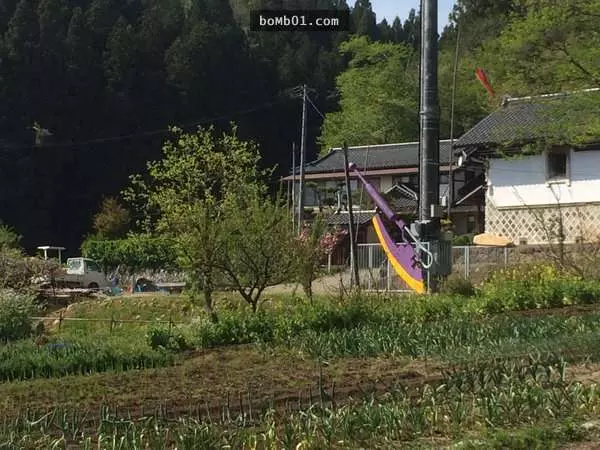10件「只在日本才會出現」的荒誕景象,住宅區附近怎麼會出現這麼大的鱷魚啦?!