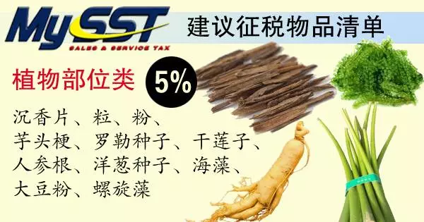 《最新》SST建議徵稅清單【出爐】哪些物品和服務被徵稅,你搞清楚了嗎