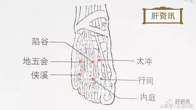 常按這些穴位,一次1分鐘,懶人也能每天按摩遠離醫生