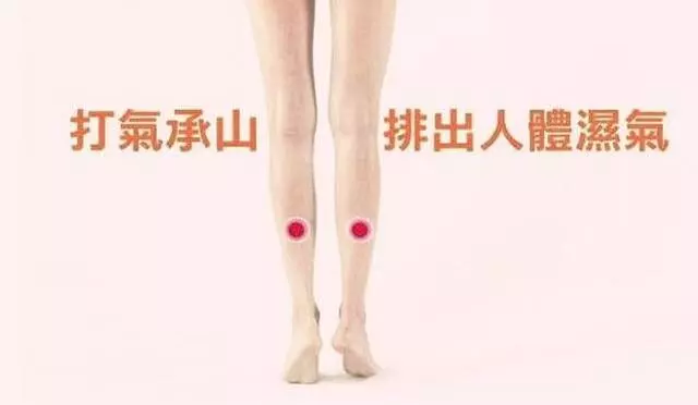 想要養生一定不能忘了它,每天拍一拍,不僅能瘦身,還有助於長壽