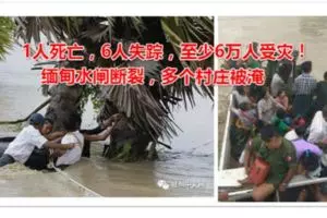 2歲童車內跌出父錯踩油門輾死他