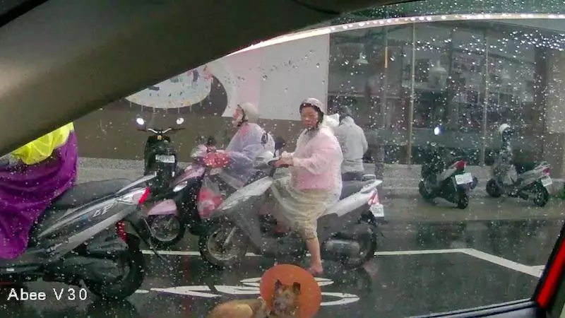 視障狗狗茫然坐路邊淋雨 口罩妹路過秒停車…「溫柔安撫」救援