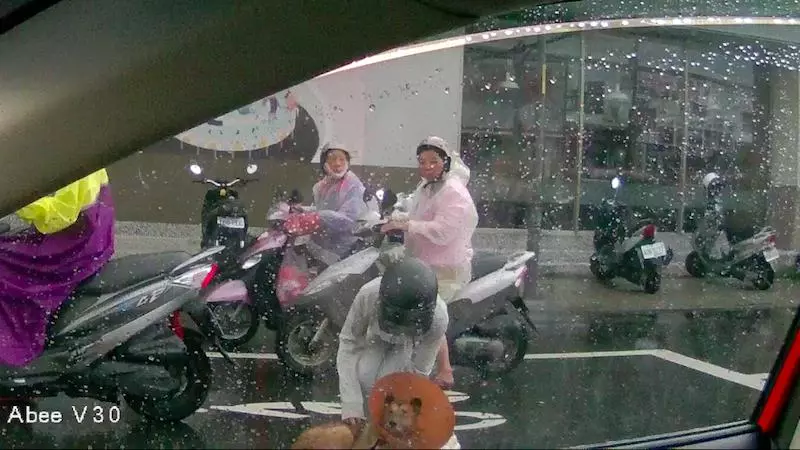 視障狗狗茫然坐路邊淋雨 口罩妹路過秒停車…「溫柔安撫」救援