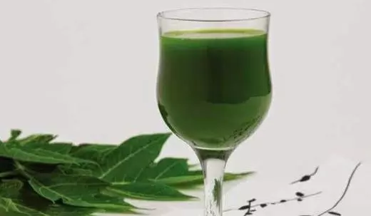【木瓜葉】的神奇功效與作用,治骨痛熱及平衡血糖,家有【肝硬化】的人要知道!
