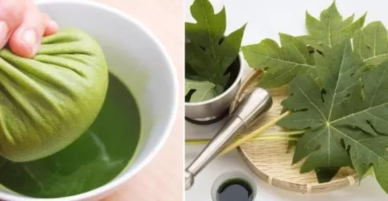 【木瓜葉】的神奇功效與作用,治骨痛熱及平衡血糖,家有【肝硬化】的人要知道!