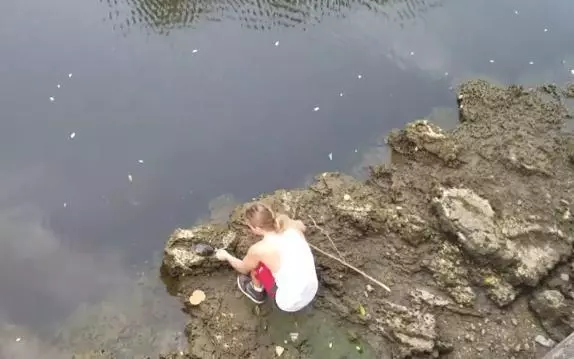 男子河邊石縫中發現兩隻烏龜,想帶回家當寵物,可當他拿起一看,整個傻住:怎麼會有那麼狠心的人!