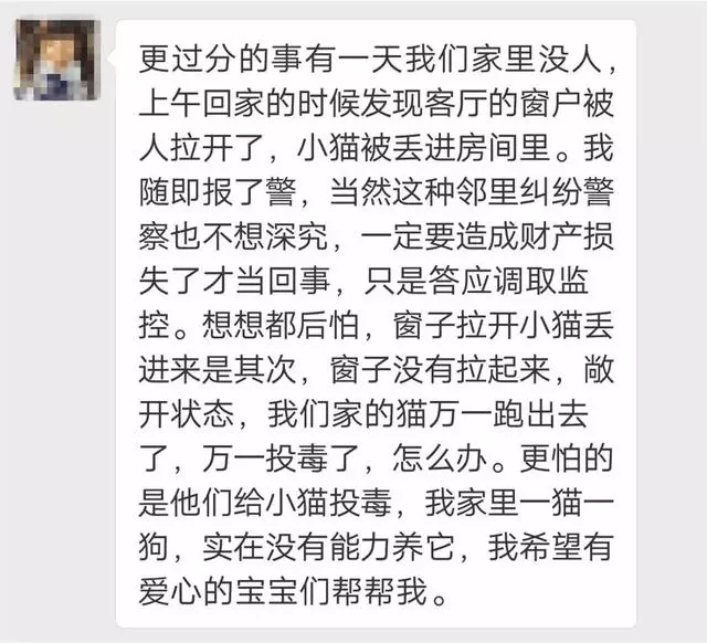 「要餵流浪貓就帶回家餵,反正你家也不差這一隻!」
