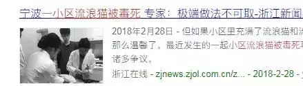 「要餵流浪貓就帶回家餵,反正你家也不差這一隻!」