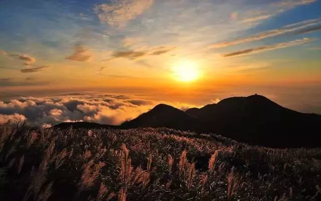 俞敏洪:教書的是老師,但育人的一定是父母!