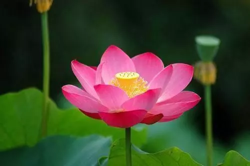 適合寫給自己的人生感悟,超經典,心浮氣躁時多看看-