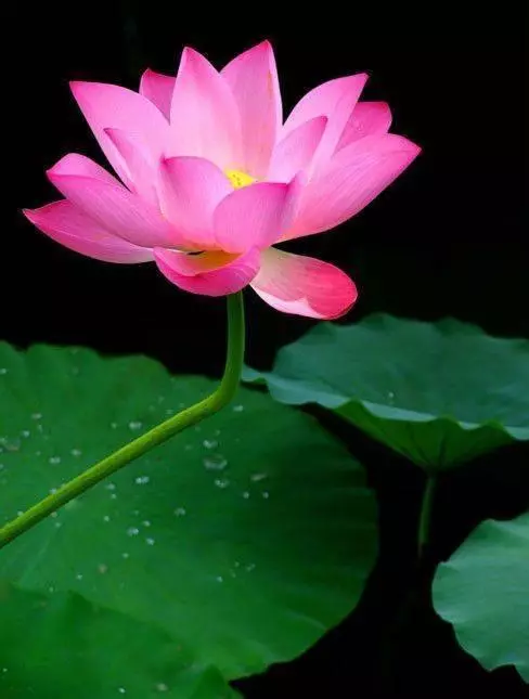 適合寫給自己的人生感悟,超經典,心浮氣躁時多看看-