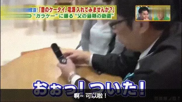 請別嘲笑視狗如命的人,有種感情你真的不懂!