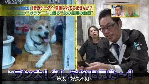 請別嘲笑視狗如命的人,有種感情你真的不懂!