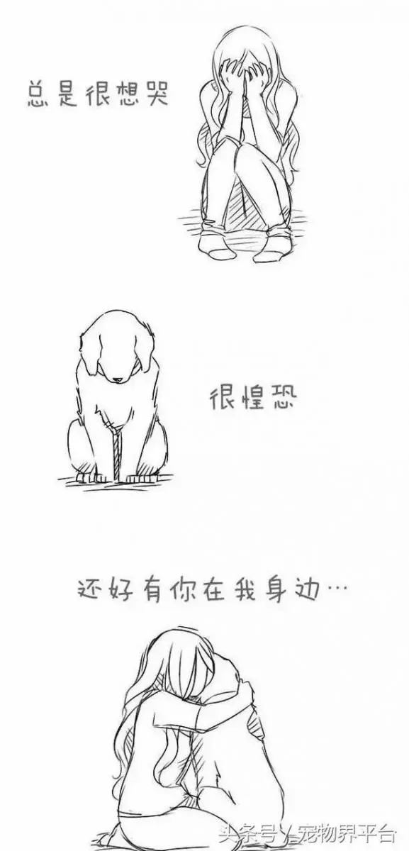 請別嘲笑視狗如命的人,有種感情你真的不懂!