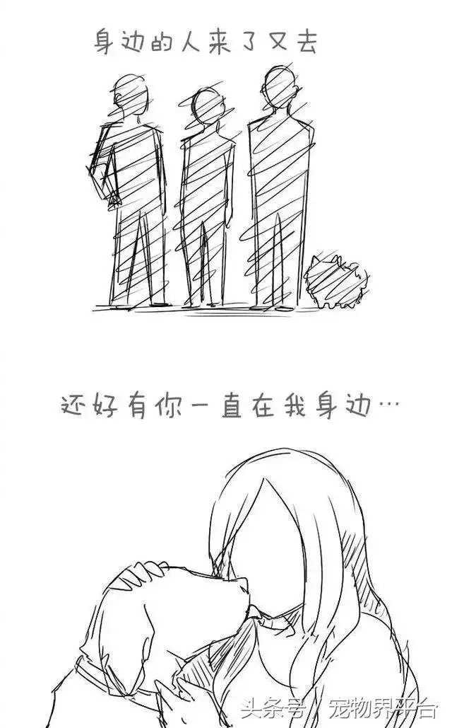 請別嘲笑視狗如命的人,有種感情你真的不懂!
