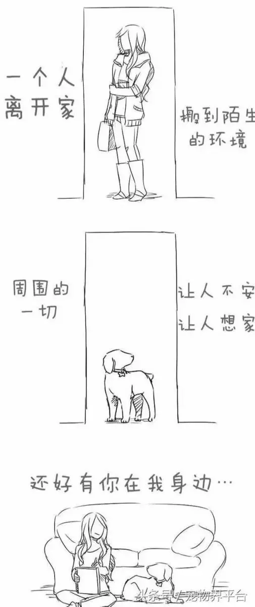 請別嘲笑視狗如命的人,有種感情你真的不懂!