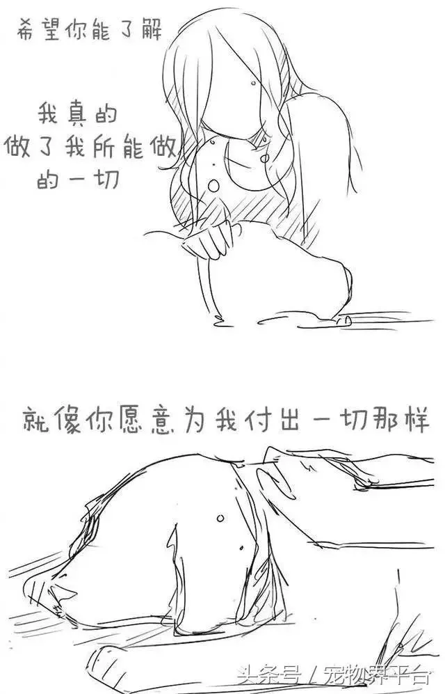 請別嘲笑視狗如命的人,有種感情你真的不懂!