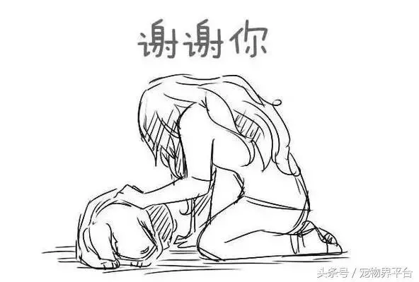 請別嘲笑視狗如命的人,有種感情你真的不懂!