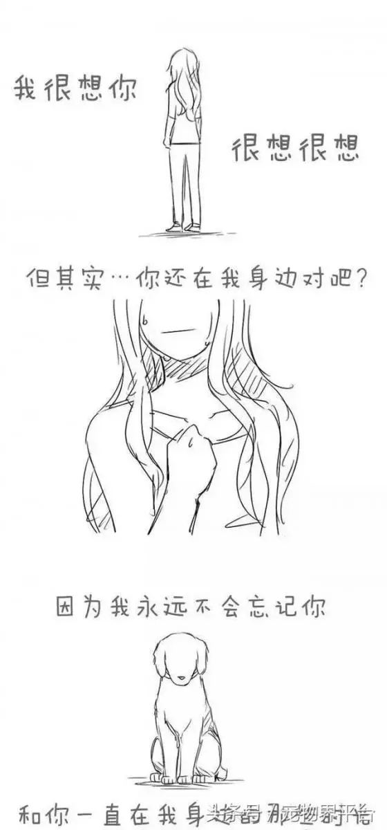 請別嘲笑視狗如命的人,有種感情你真的不懂!