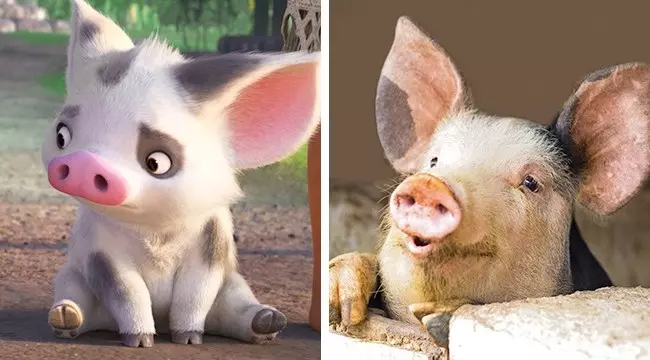 14隻「完全和經典卡通裡的角色一模一樣」的萌動物!