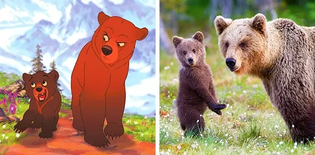 14隻「完全和經典卡通裡的角色一模一樣」的萌動物!