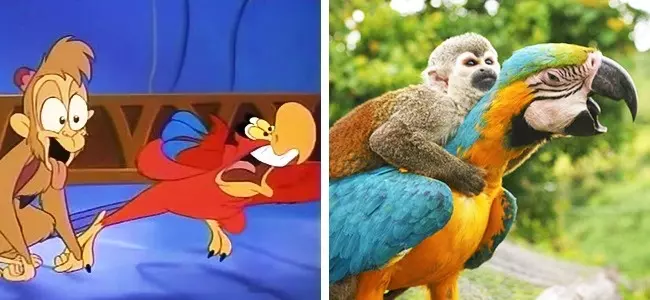 14隻「完全和經典卡通裡的角色一模一樣」的萌動物!