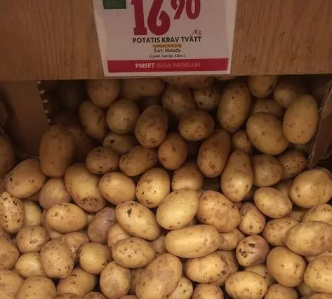 30塊臺幣能在世界各地買到什麼食物吃?在印度也太值得了吧...
