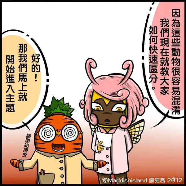 你知道該怎麼分辨「海豹、海狗、海牛、海象」嗎?超Q插畫讓網友瞬間秒懂:長知識了!