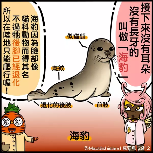 你知道該怎麼分辨「海豹、海狗、海牛、海象」嗎?超Q插畫讓網友瞬間秒懂:長知識了!