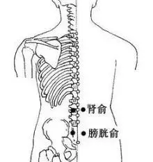 帶脈刮痧,您的婦科健康「安全帶」!