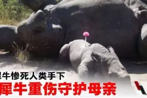 莽父酒後縱火 3歲兒遭活活燒死