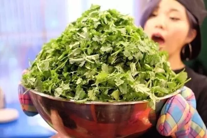 9張照片「給你滿滿的大香菜」逼死人料理!就算隔著螢幕也好像聞到了什麼XDDD