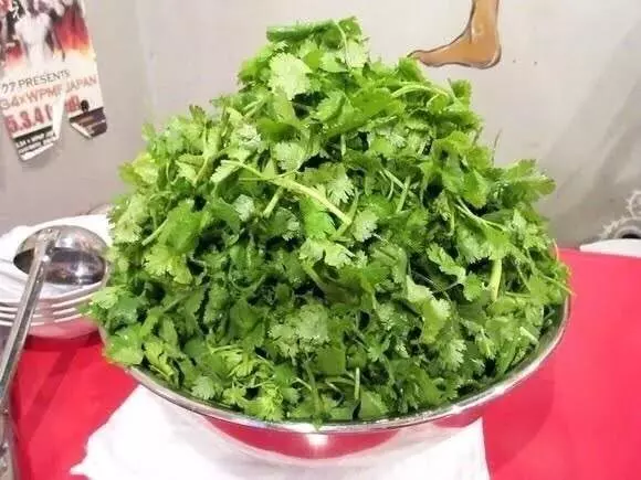 9張照片「給你滿滿的大香菜」逼死人料理!就算隔著螢幕也好像聞到了什麼XDDD