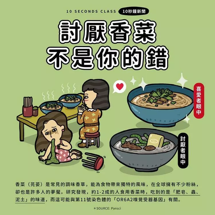 9張照片「給你滿滿的大香菜」逼死人料理!就算隔著螢幕也好像聞到了什麼XDDD