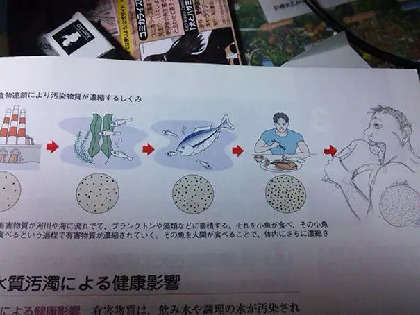 34張會讓老師崩潰哭哭「想辭職回家種田」的學生腦洞塗鴉,每一張都是超越課本內容的天才啊!