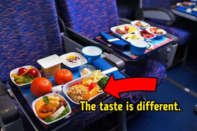 揭秘飛機餐難吃的原因…16個「機師希望大家上飛機之前都知道」的小知識!
