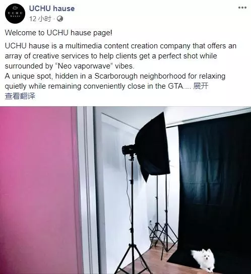 吳卓林終於學會了自力更生,這份新工作代表她與吳綺莉徹底分開?