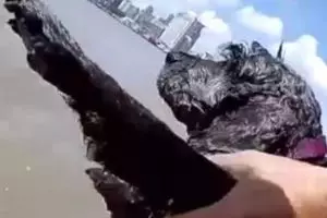 【今早恐怖死亡車禍】羅釐與轎車猛撞司機重傷及一名華裔青少頭部爆裂當成身亡【內有視頻】