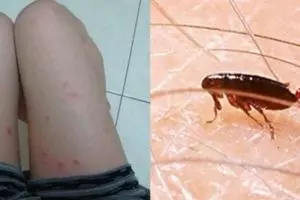 冒雨接孫兒回家!失蹤阿嬤疑被大雨沖走...