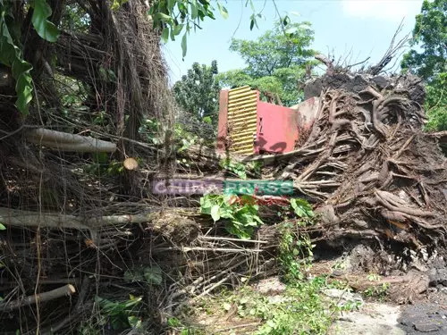 特強怪風狂襲! 華小屋頂掀開 圍牆被吹倒